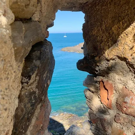 Duplex Rep 10 Coeur De