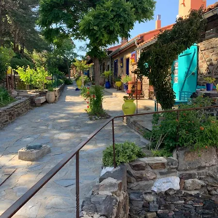 Duplex Rep 10 Coeur De Avec Parking Proche