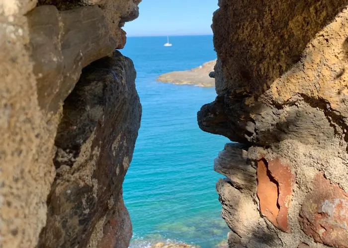 Duplex Rep 10 Coeur De