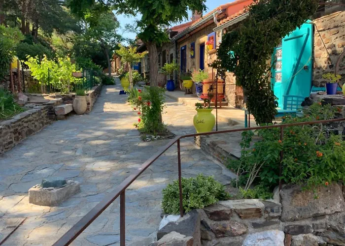 Duplex Rep 10 Coeur De